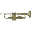 ROY BENSON Tromba in Sib TR-101 Serie Student