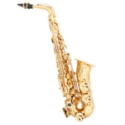 CONDUCTOR Sax Alto Finitura Laccata (Custodia Soft-Line)