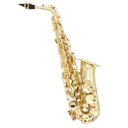 ffalstaff Sax Alto Finitura Laccata "Conservatorio" (Custodia Soft-Line Sagomata)