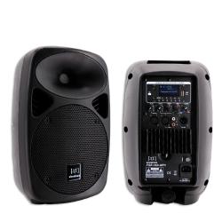 SINEXTESIS Diffusore Attivo 250W (LF 10" + HF 1") con Display LCD, Player Mp3 (USB/SD), Radio FM e Telecomando